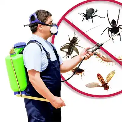 pest control Charlevoix